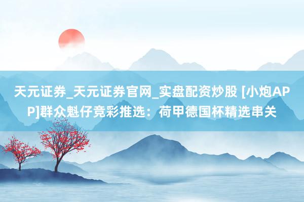 天元证券_天元证券官网_实盘配资炒股 [小炮APP]群众魁仔竞彩推选：荷甲德国杯精选串关